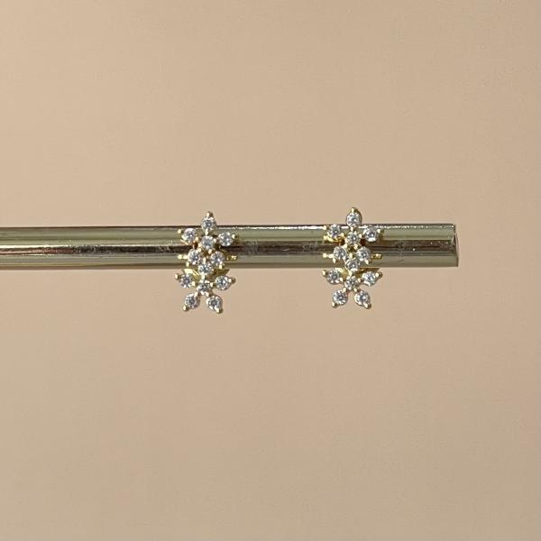 ARETES DOS FLORES