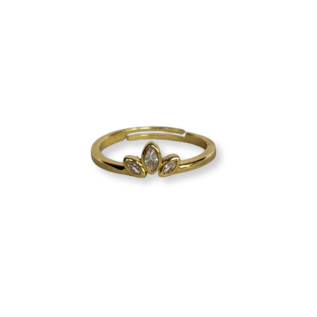 ANILLO CORONA
