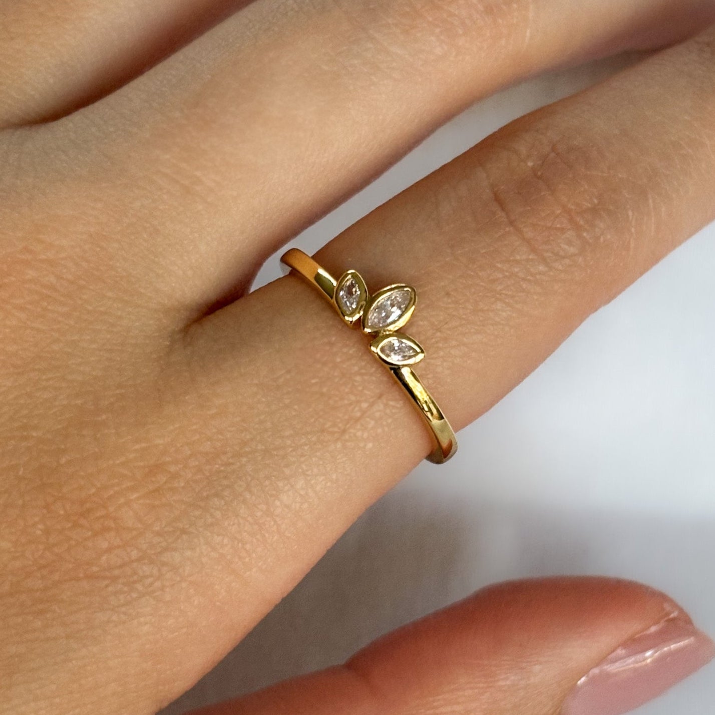 ANILLO CORONA