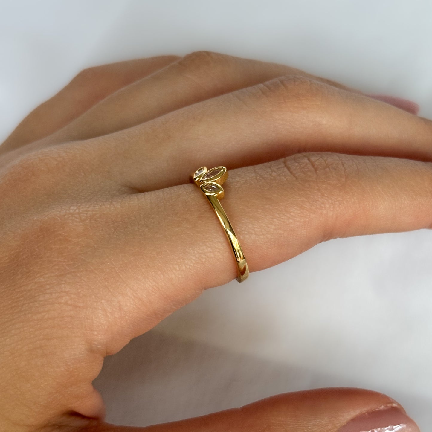 ANILLO CORONA