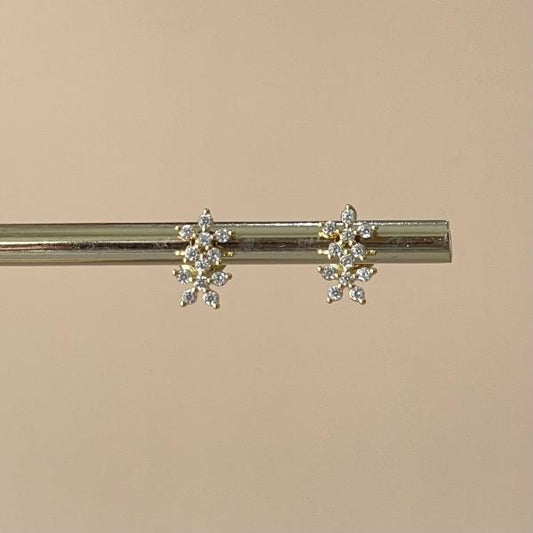 ARETES DOS FLORES