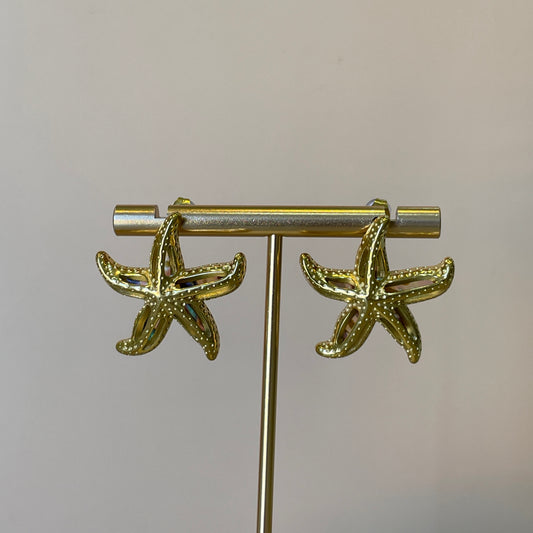ARETES ESTRELLA DE MAR