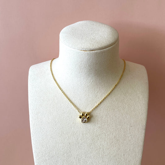 COLLAR HUELLA CLEAR