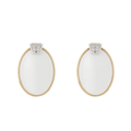 ARETES SPLENDORE WHITE