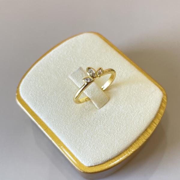 ANILLO CORONA
