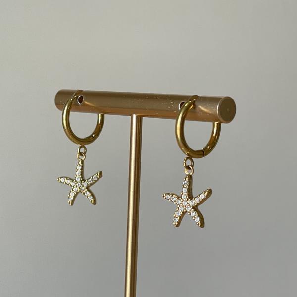 ARRACADAS ESTRELLA DE MAR