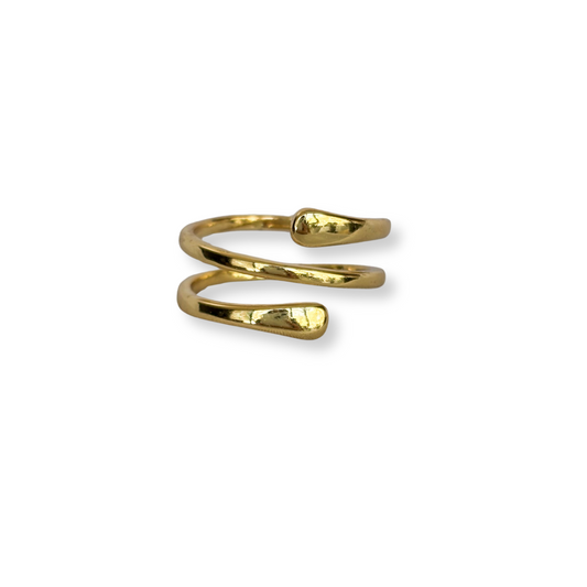 ANILLO DOBLE